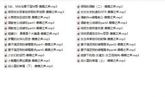【靡靡之音】 音声【400MB 百度云】