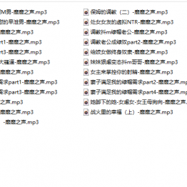 【靡靡之音】 音声【400MB 百度云】