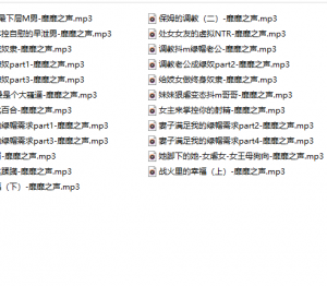 【靡靡之音】 音声【400MB 百度云】