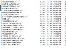 【ASMR中文音声 合集】【 750MB 百度云】